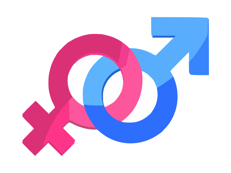 gender-ge1f76afd8_1280 gender-ge1f76afd8_1280